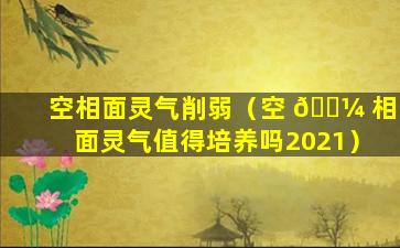 空相面灵气削弱（空 🌼 相面灵气值得培养吗2021）